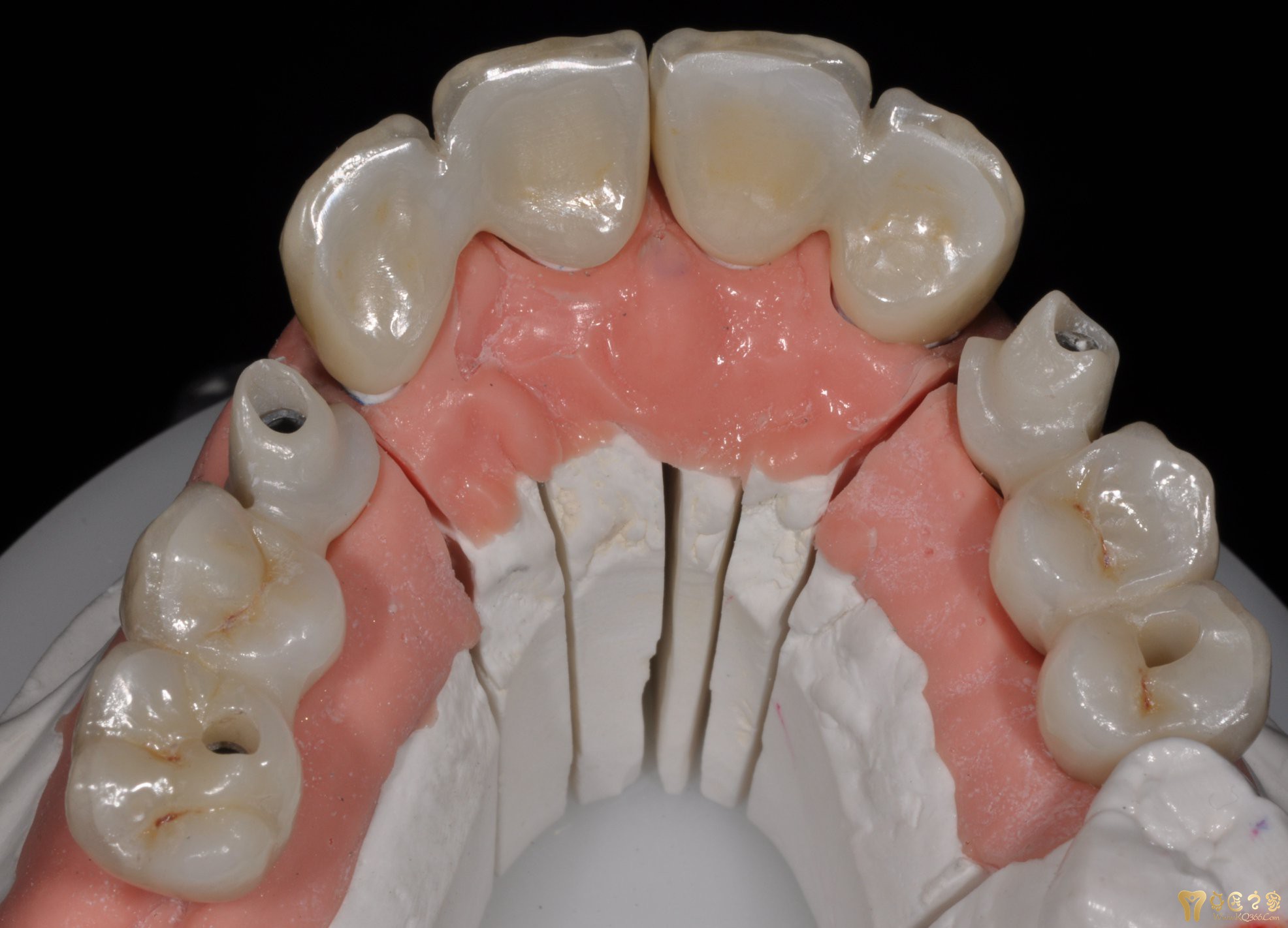美学仿生案例 - 案例精华 - 牙匠之家